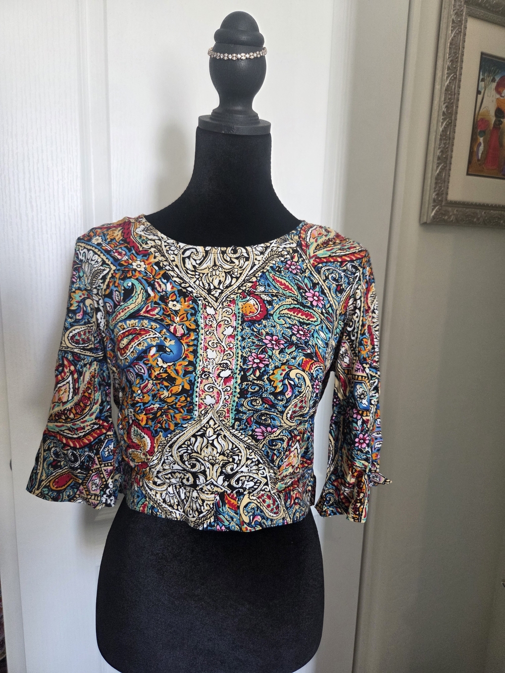 Paisley Print Multicolor Cropped Top with Tie Sleeve